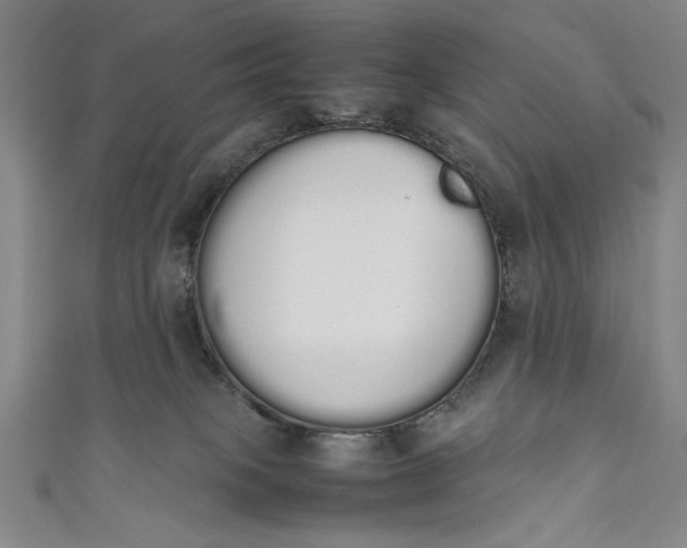 X0000111450085200907271239