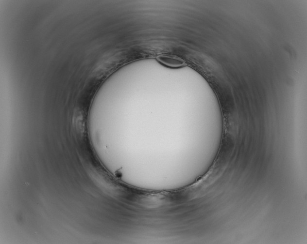 X0000111450086200907271239