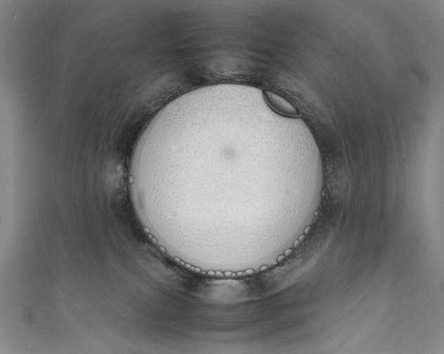 X0000111450087200907271239