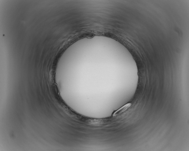 X0000111450088200907271239