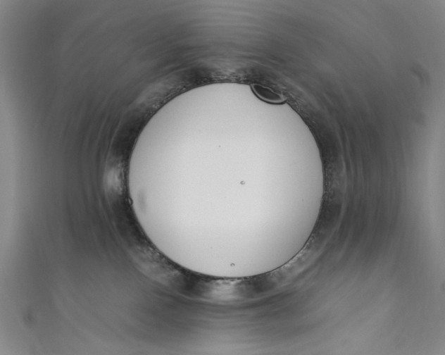 X0000111450090200907271239