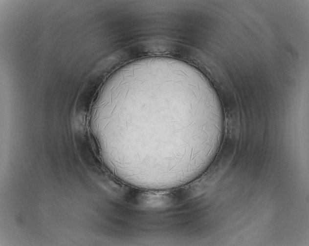 X0000111450093200907271239