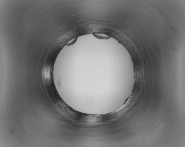 X0000111450094200907271239