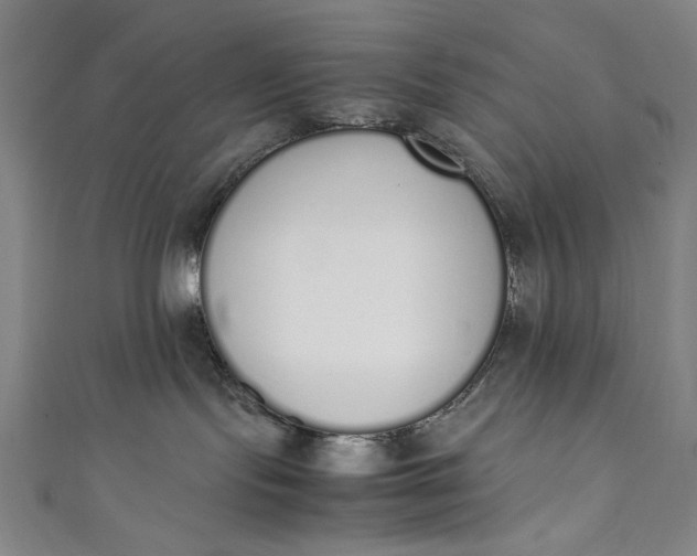 X0000111450095200907271239