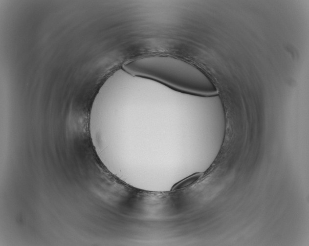 X0000111450096200907271239