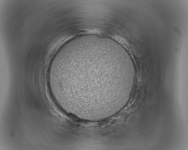 X0000111450097200907271239