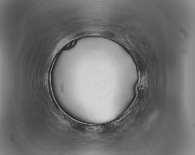 X0000111450099200907271239