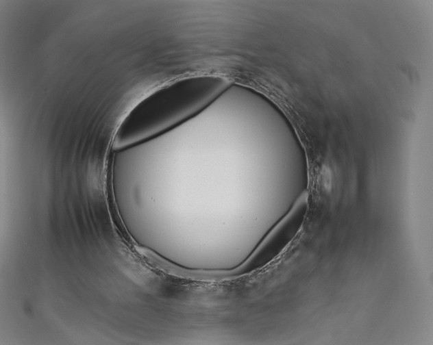 X0000111450100200907271239