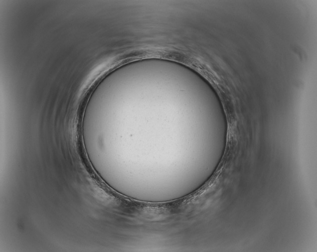 X0000111450101200907271239