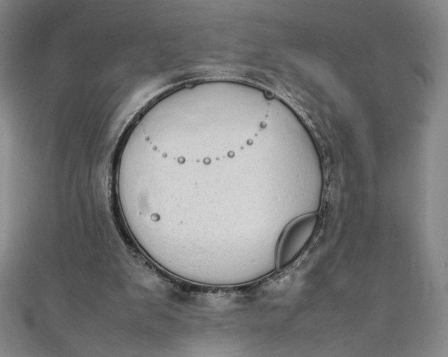 X0000111450103200907271239