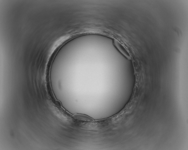 X0000111450104200907271239