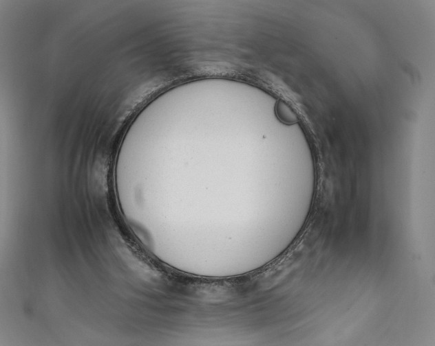 X0000111450106200907271239