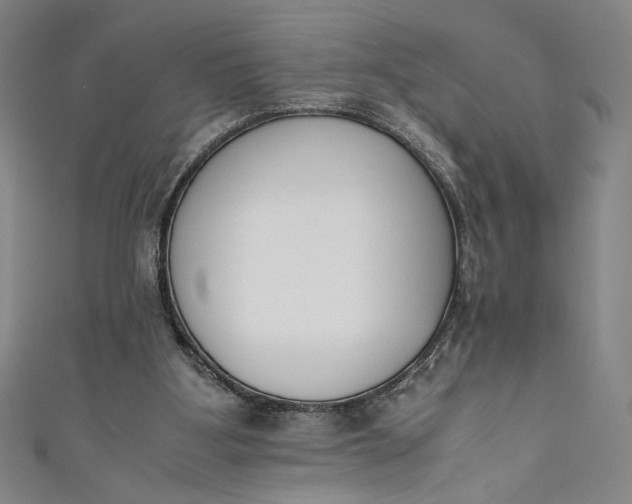 X0000111450107200907271239