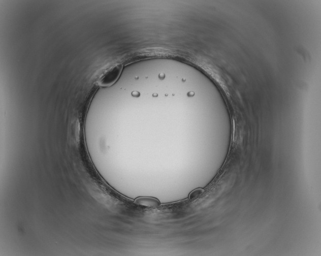 X0000111450109200907271239