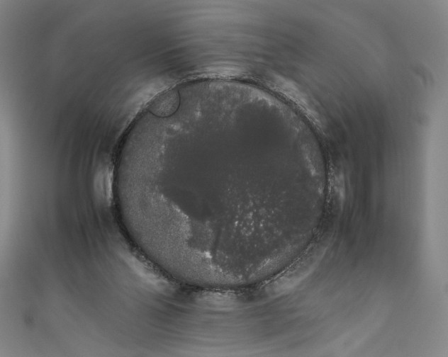 X0000111450110200907271239