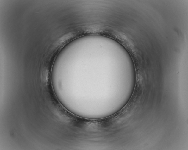 X0000111450115200907271238