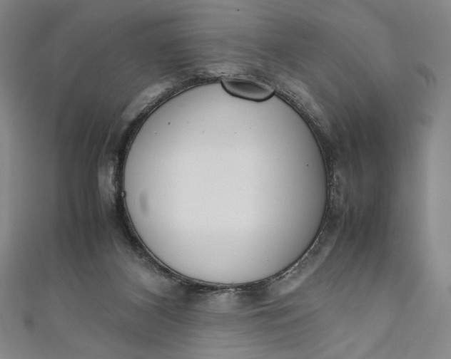 X0000111450116200907271238