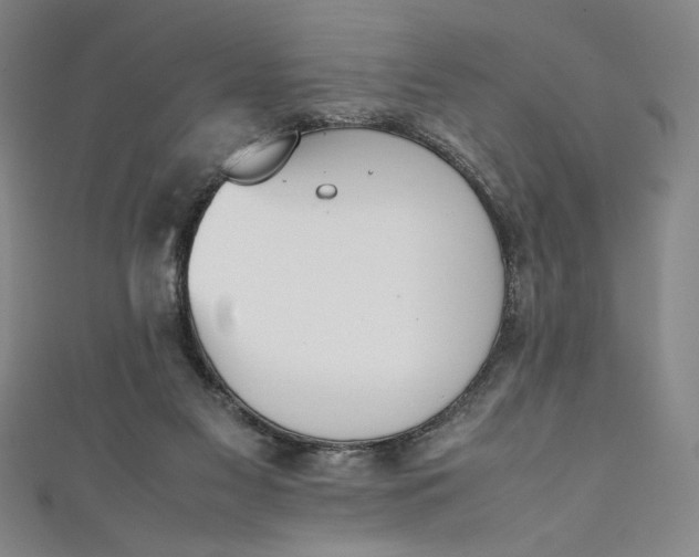 X0000111450117200907271238
