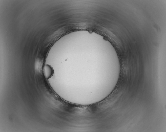 X0000111450118200907271238