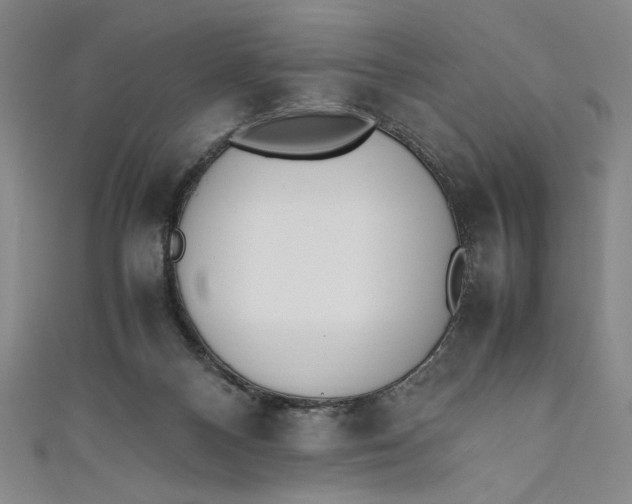 X0000111450120200907271238