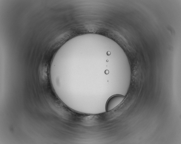 X0000111450122200907271238