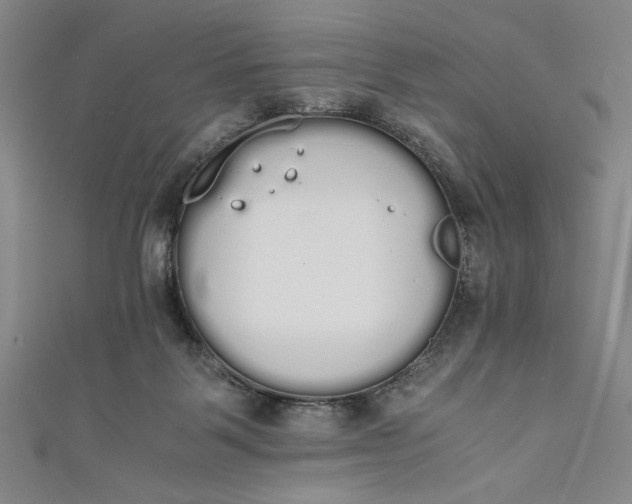 X0000111450123200907271238