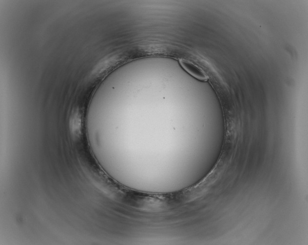 X0000111450124200907271238