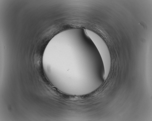 X0000111450125200907271238