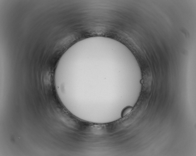 X0000111450126200907271238