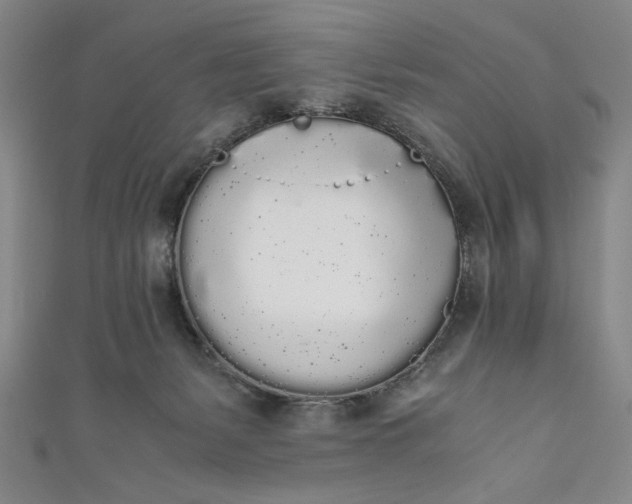 X0000111450127200907271238