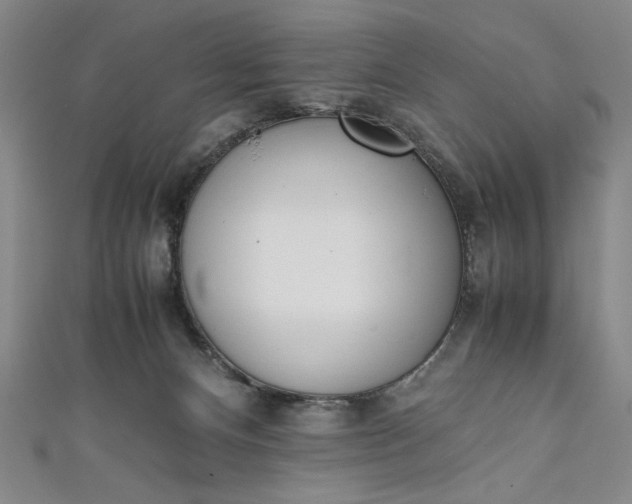 X0000111450128200907271238