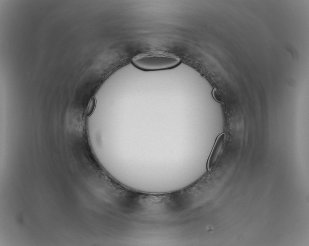 X0000111450129200907271238
