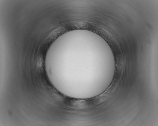 X0000111450132200907271238