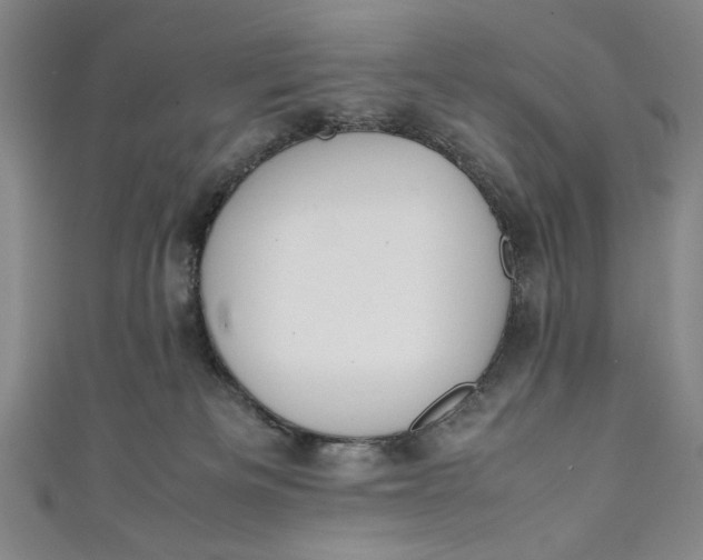 X0000111450133200907271238