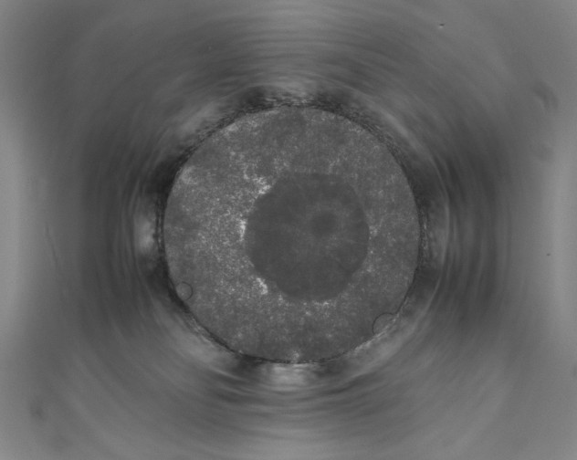 X0000111450134200907271238