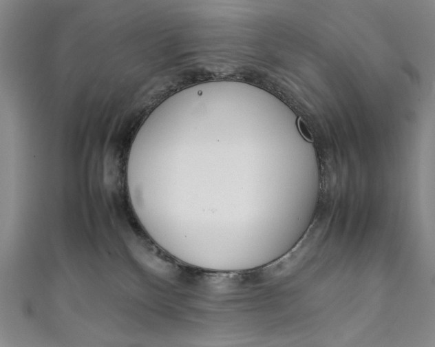 X0000111450136200907271238