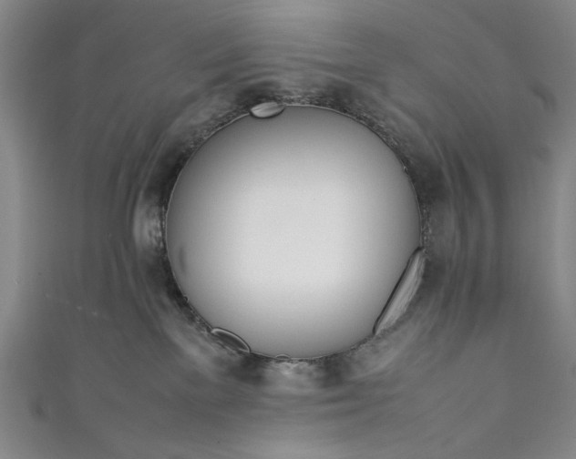 X0000111450137200907271238