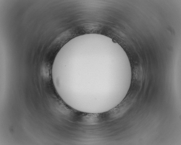 X0000111450138200907271238