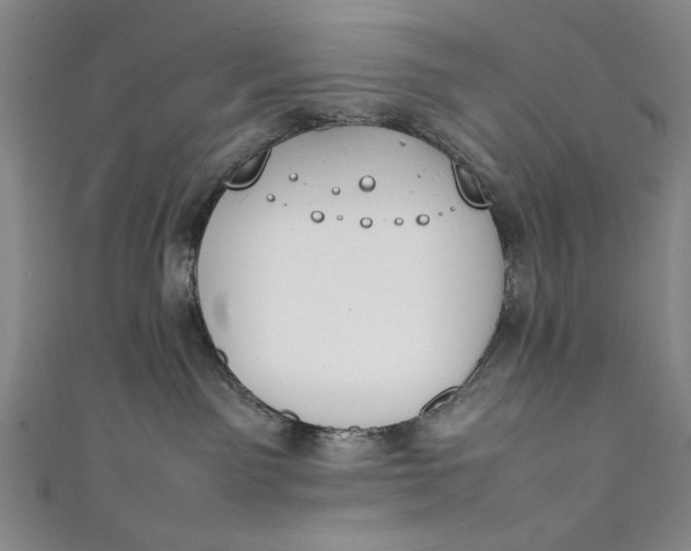 X0000111450141200907271238