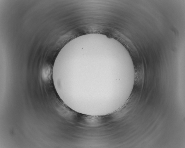 X0000111450142200907271238