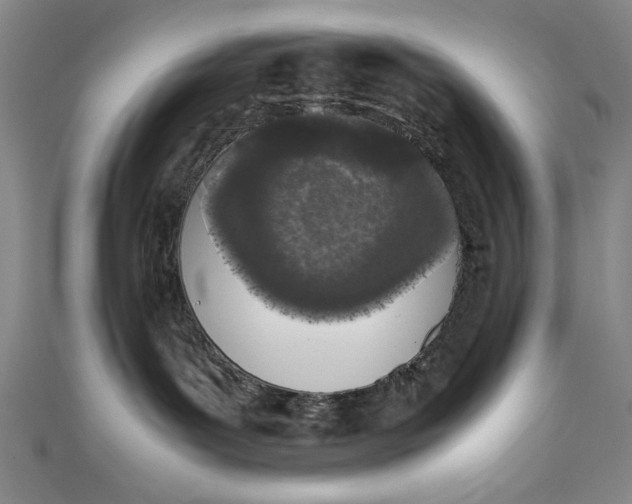 X0000111450143200907271238