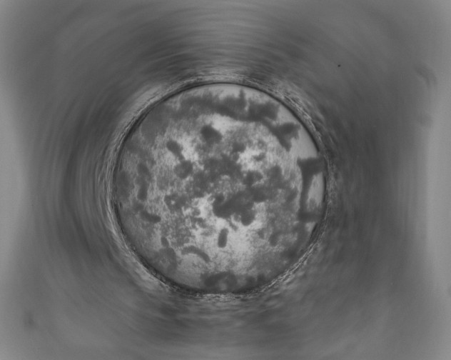 X0000111450145200907271237