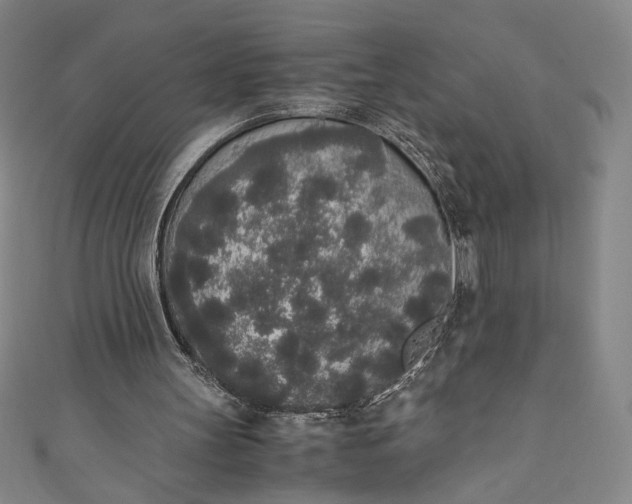X0000111450147200907271237