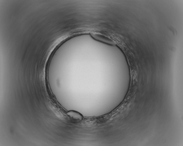 X0000111450148200907271238
