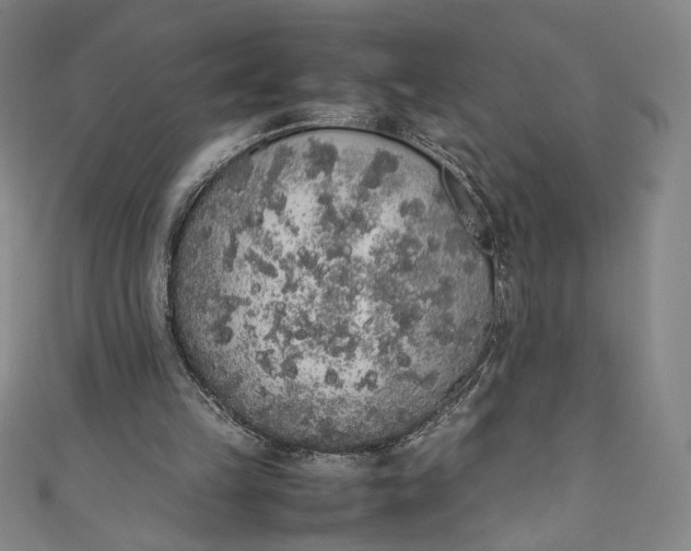X0000111450149200907271238
