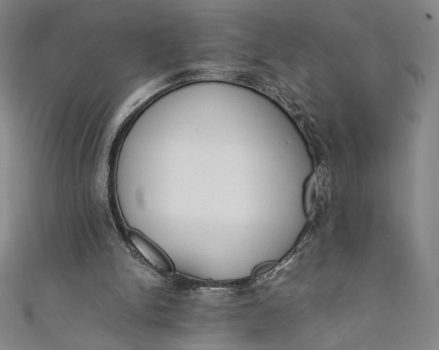 X0000111450150200907271238