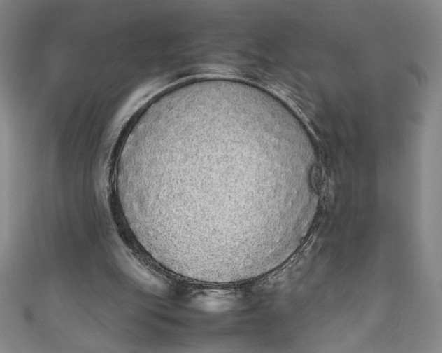 X0000111450151200907271238