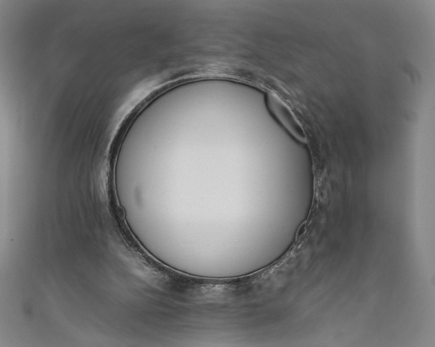 X0000111450152200907271238