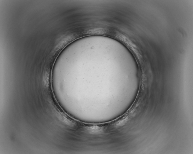 X0000111450153200907271238