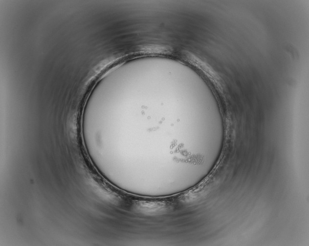 X0000111450155200907271238